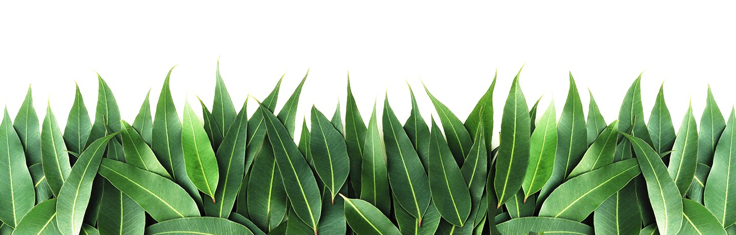 Grass Footer